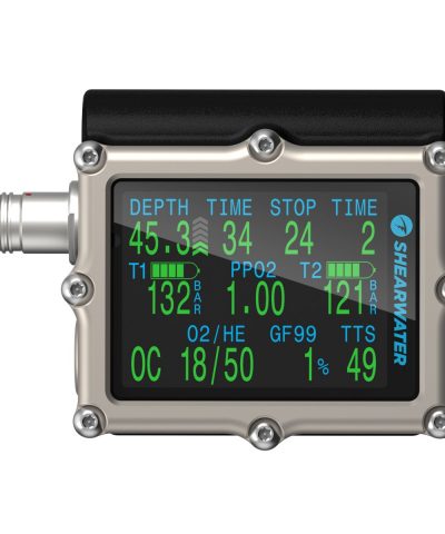 Shearwater Petrel 3 Fischer